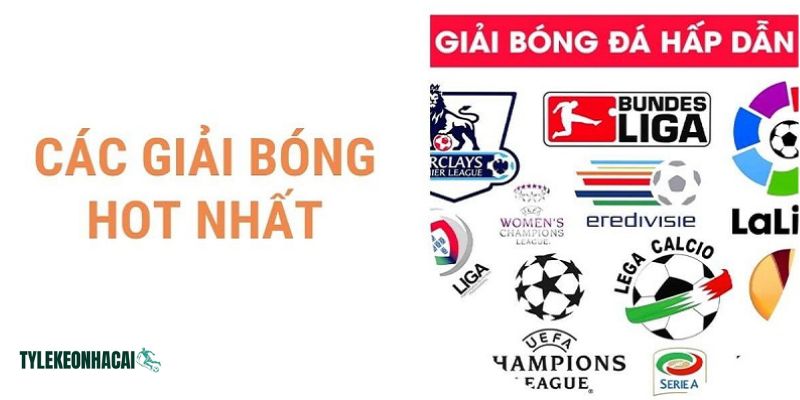 Tại hetbestemedium.nl luôn cập nhật đầy đủ lịch mọi giải đấu bóng